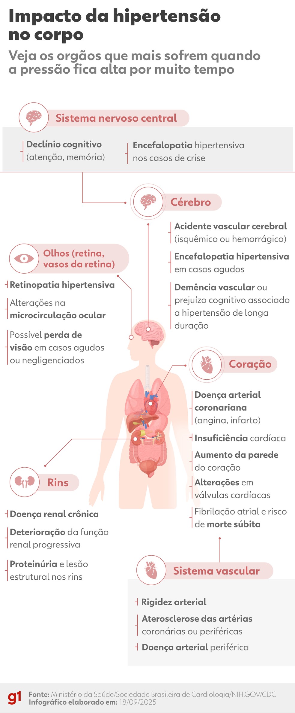 Impacto da hipertensão no corpo — Foto: Bruna Azevedo/Arte g1