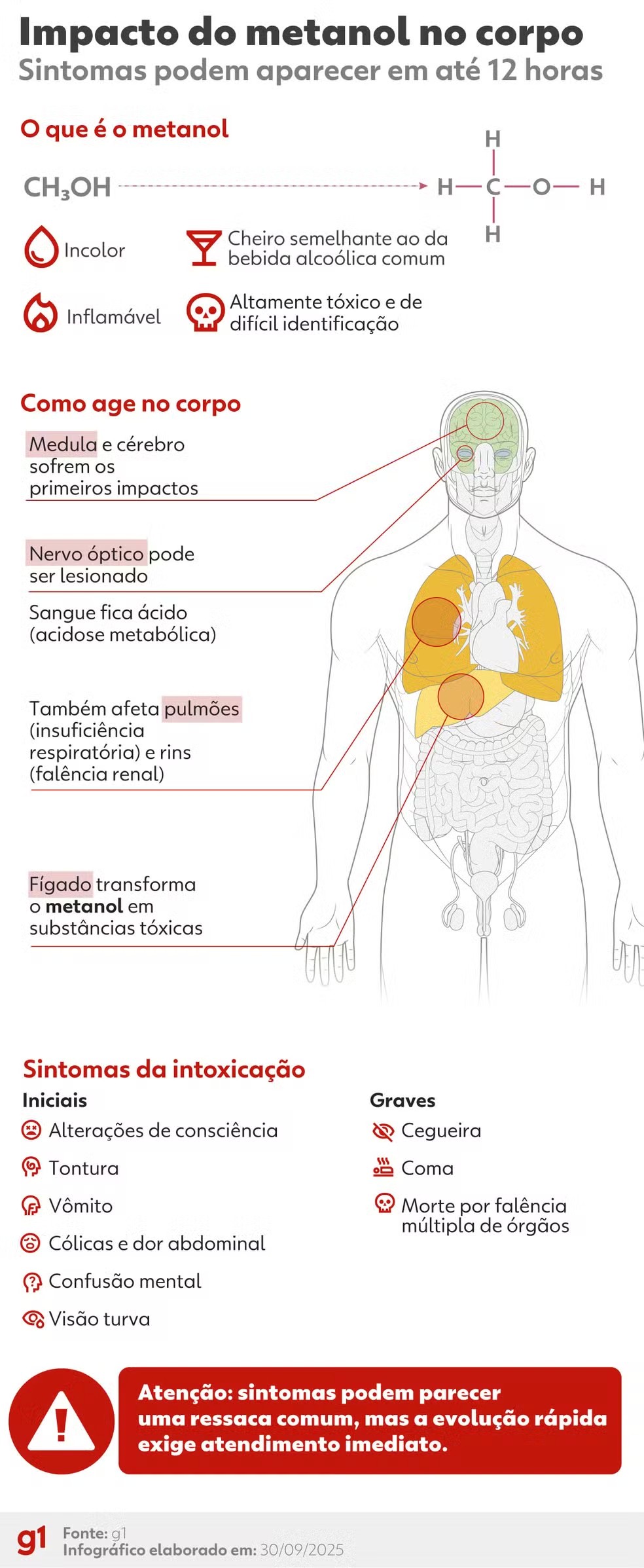 Infográfico: o impacto do metanol no corpo humano. — Foto: Arte/g1